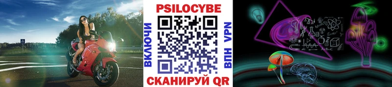 Галлюциногенные грибы мухоморы  Донской 